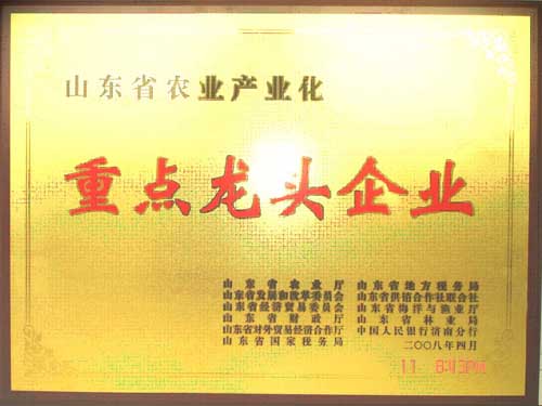 省龍頭企業(yè)